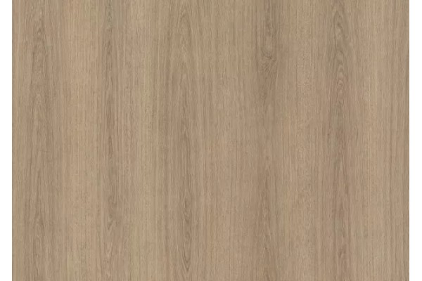 NF46 - SMOOTH OAK WOOD